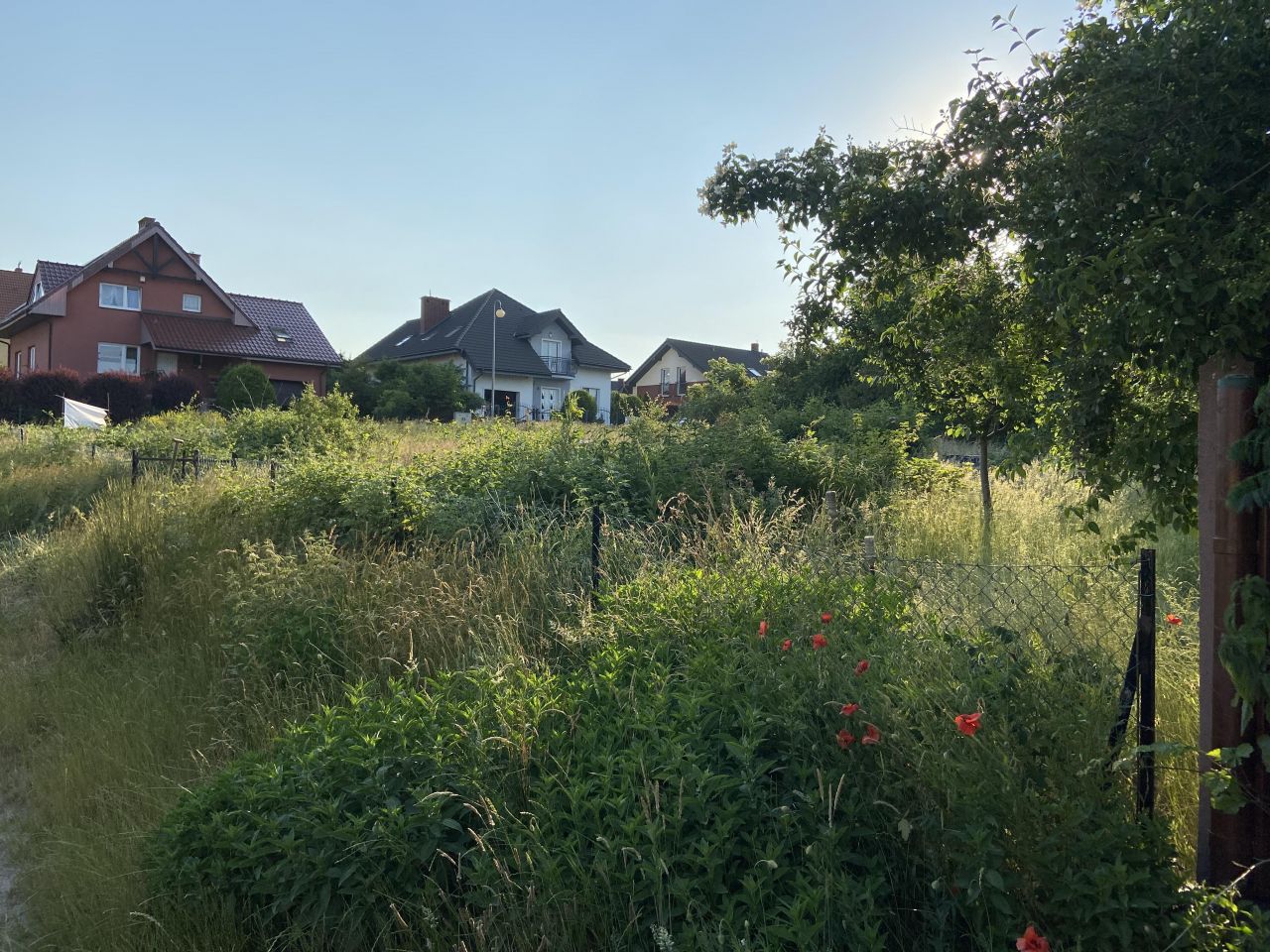 Działka budowlana Kosakowo, ul. Maciejkowa. Zdjęcie 1