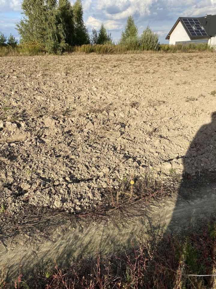 Działka budowlana Bogucin. Zdjęcie 3
