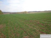 Działka rolna Niwnice. Zdjęcie 2