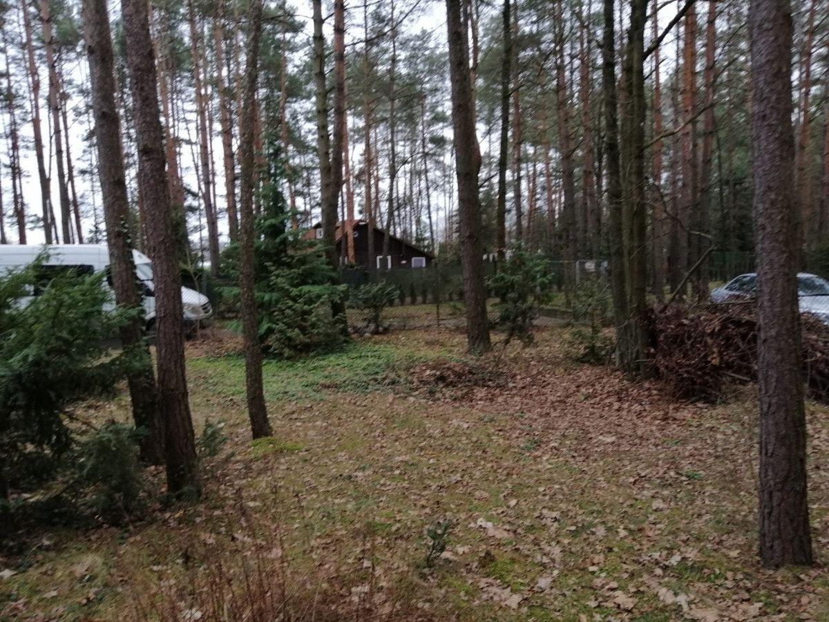 Działka leśna Włodzimierz, ul. Sosnowa. Zdjęcie 7