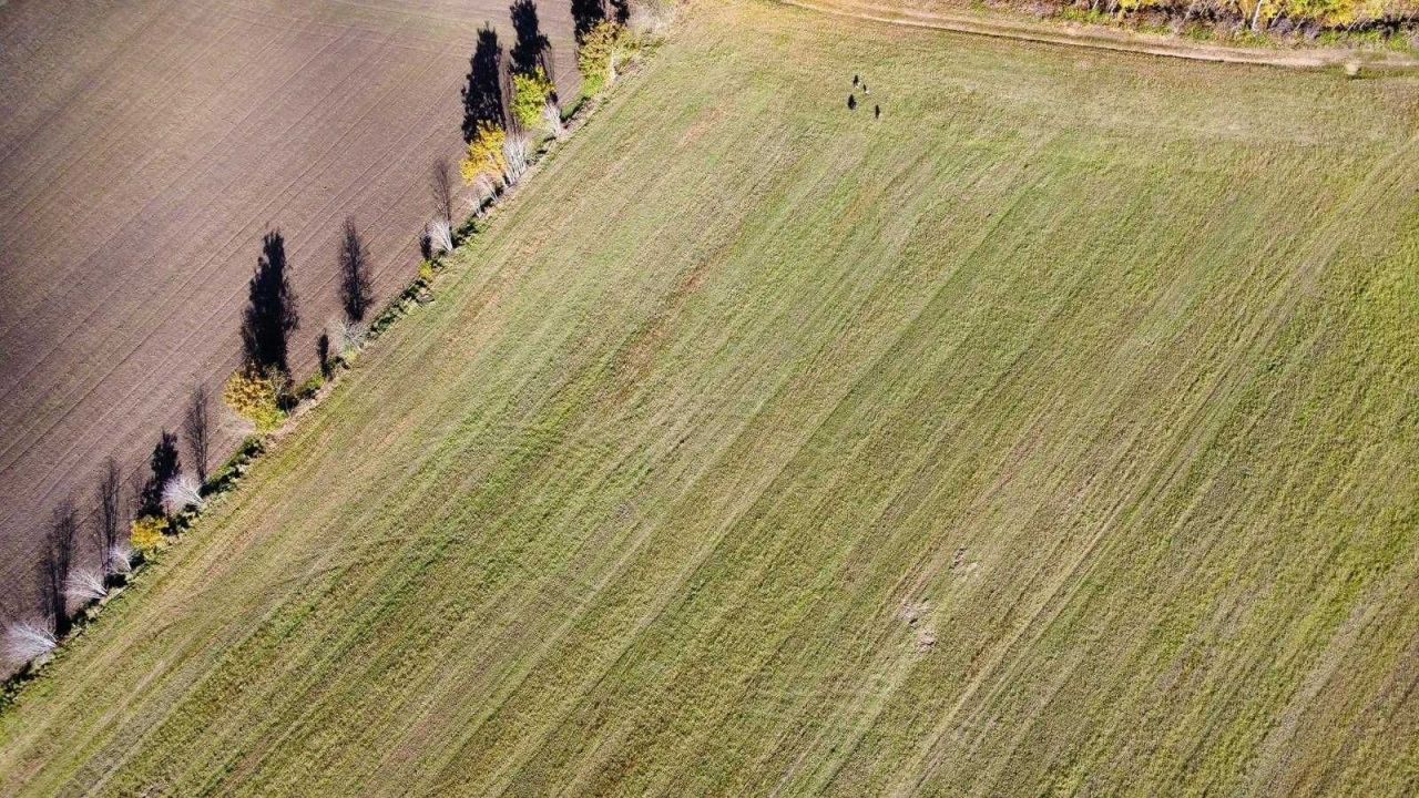 Działka budowlana Grabowiec. Zdjęcie 8