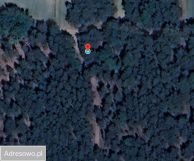 Działka leśna Witkowice. Zdjęcie 1