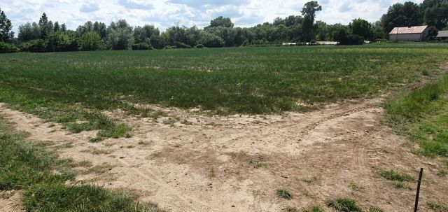 Działka rolno-budowlana Stare Podole. Zdjęcie 1