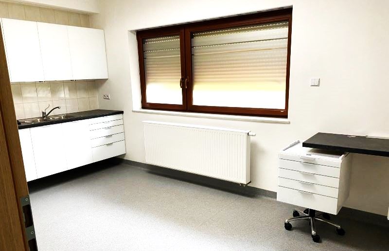 dom wolnostojący, 8 pokoi Poznań Jeżyce, ul. Strzeszyńska. Zdjęcie 15