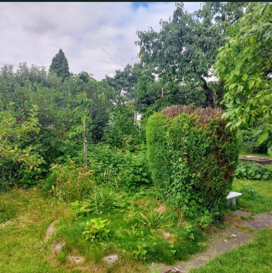 Działka rod Szczecin Krzekowo, ul. Żniwna. Zdjęcie 4