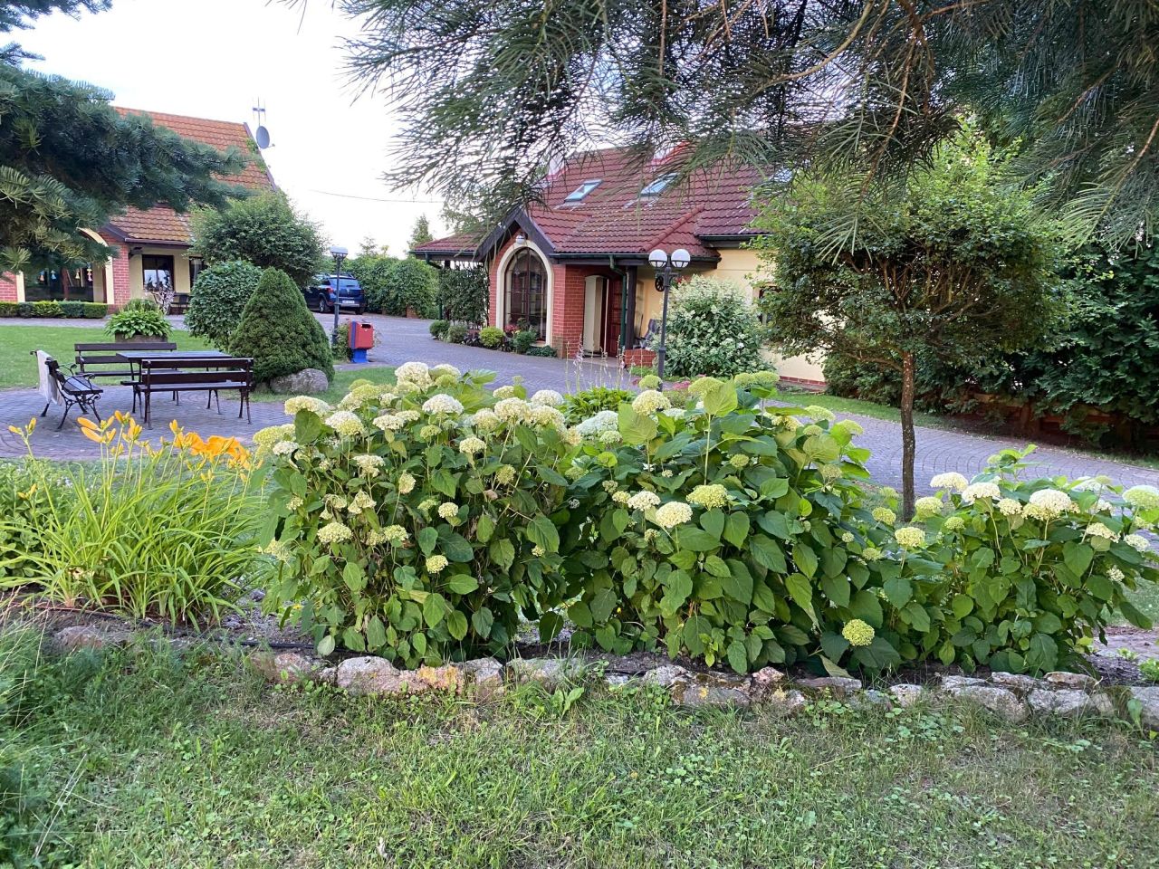 siedlisko Najdymowo. Zdjęcie 24