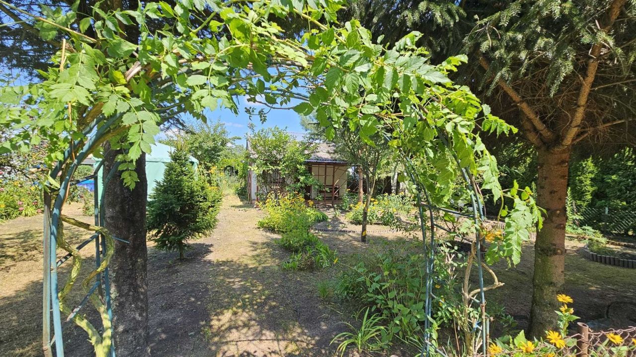 Działka rod Konin, ul. Świętojańska. Zdjęcie 2