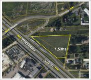 Działka inwestycyjna Wola Ducka. Zdjęcie 2