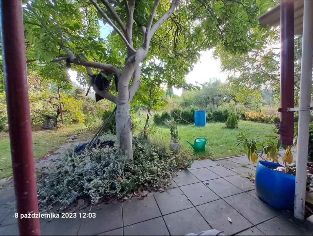 Działka rod Sosnowiec. Zdjęcie 5