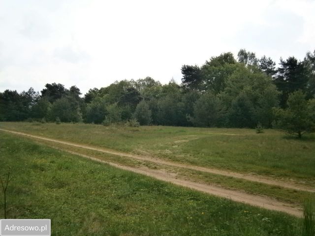 Działka budowlana Arciechów, ul. Ogólna. Zdjęcie 1