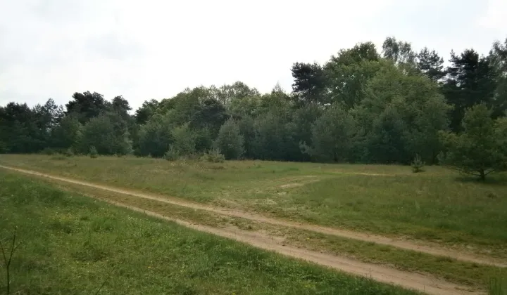 Działka budowlana Arciechów, ul. Ogólna