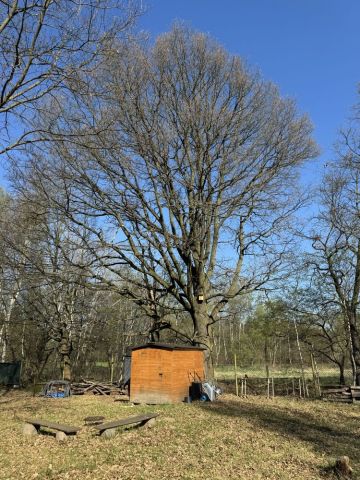 Działka rod Wrocław Stabłowice. Zdjęcie 1