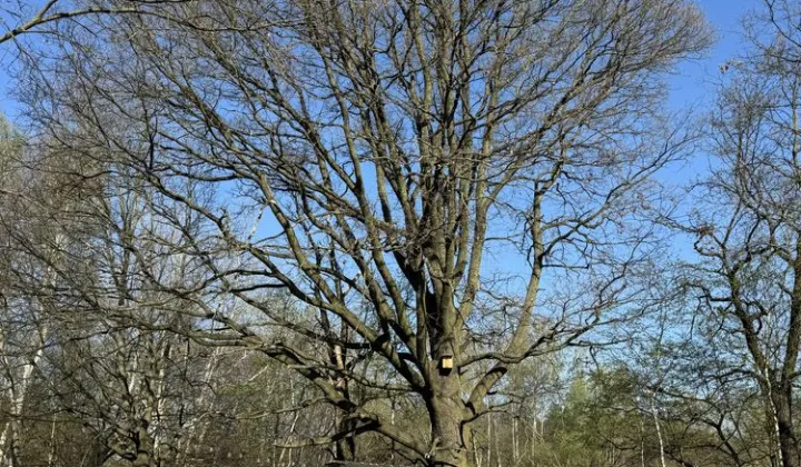 Działka rod Wrocław Stabłowice