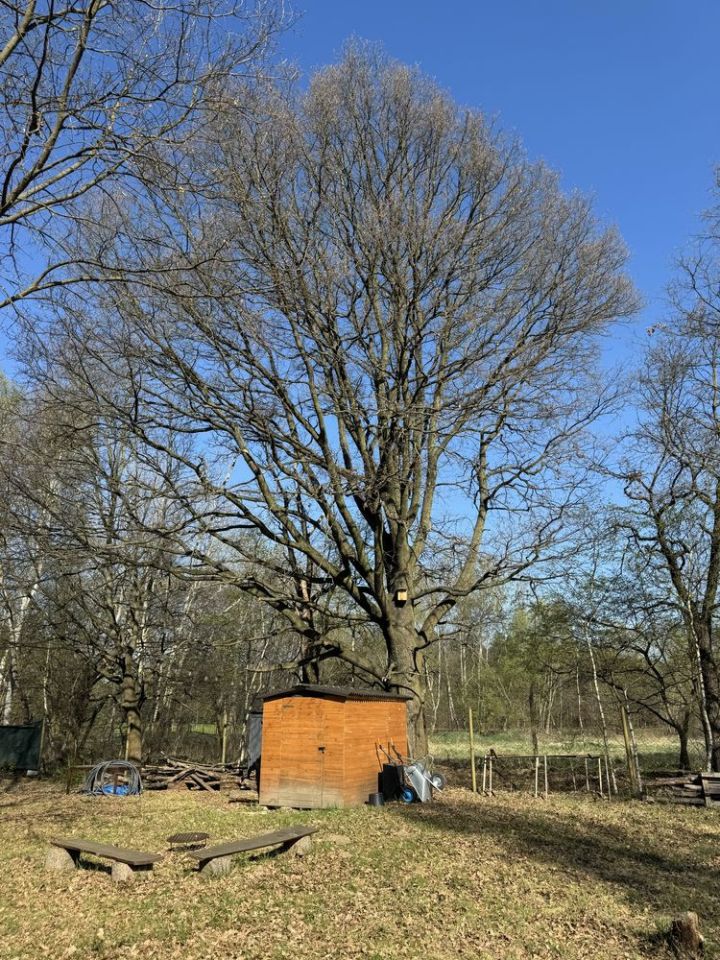 Działka rod Wrocław Stabłowice. Zdjęcie 1