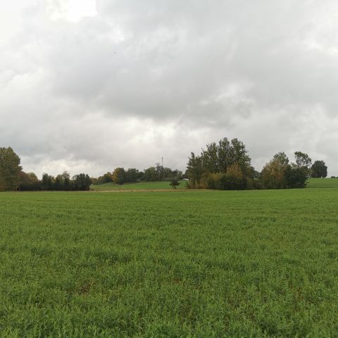 Działka budowlana Łąkie. Zdjęcie 16