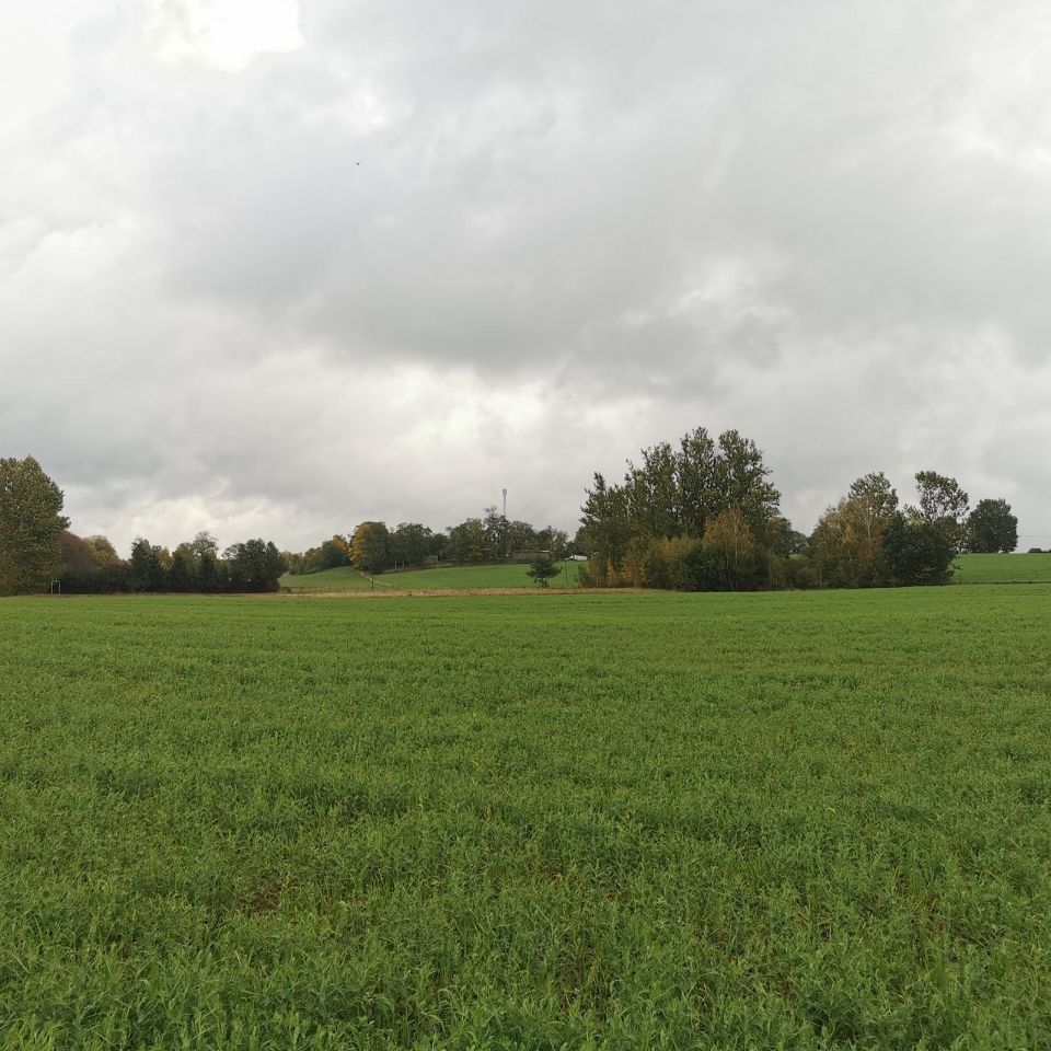 Działka budowlana Łąkie. Zdjęcie 16