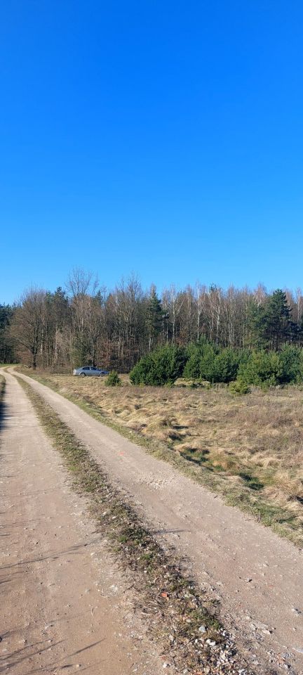 Działka rolno-budowlana Cegielnia Psucka. Zdjęcie 7
