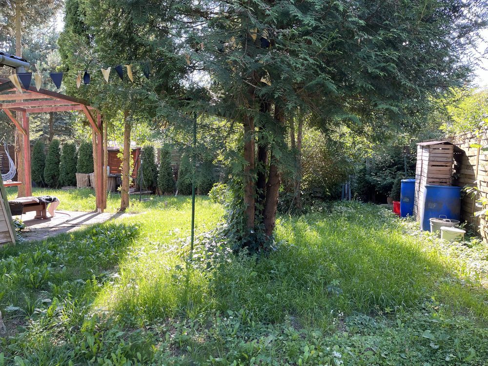 Działka rod Toruń. Zdjęcie 6