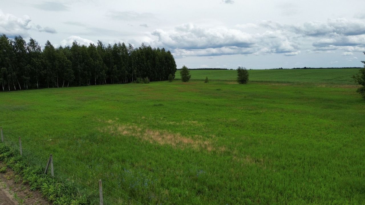 Działka budowlana Krzywa Wieś. Zdjęcie 15