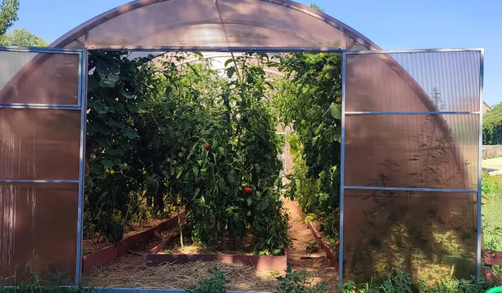 Działka rolno-budowlana Biedrzychów