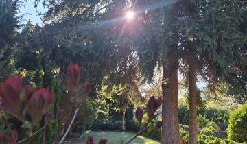 Działka rod Łódź Polesie, ul. Biegunowa