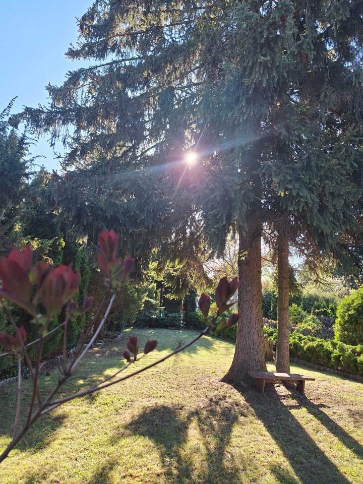 Działka rod Łódź Polesie, ul. Biegunowa. Zdjęcie 2