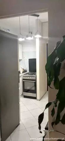 Mieszkanie 1-pokojowe Kamienna Góra. Zdjęcie 6