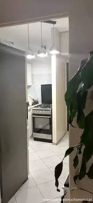 Mieszkanie 1-pokojowe Kamienna Góra. Zdjęcie 6