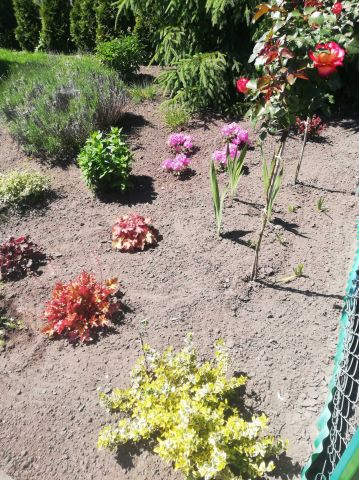 Działka rod Inowrocław, ul. Poznańska. Zdjęcie 6