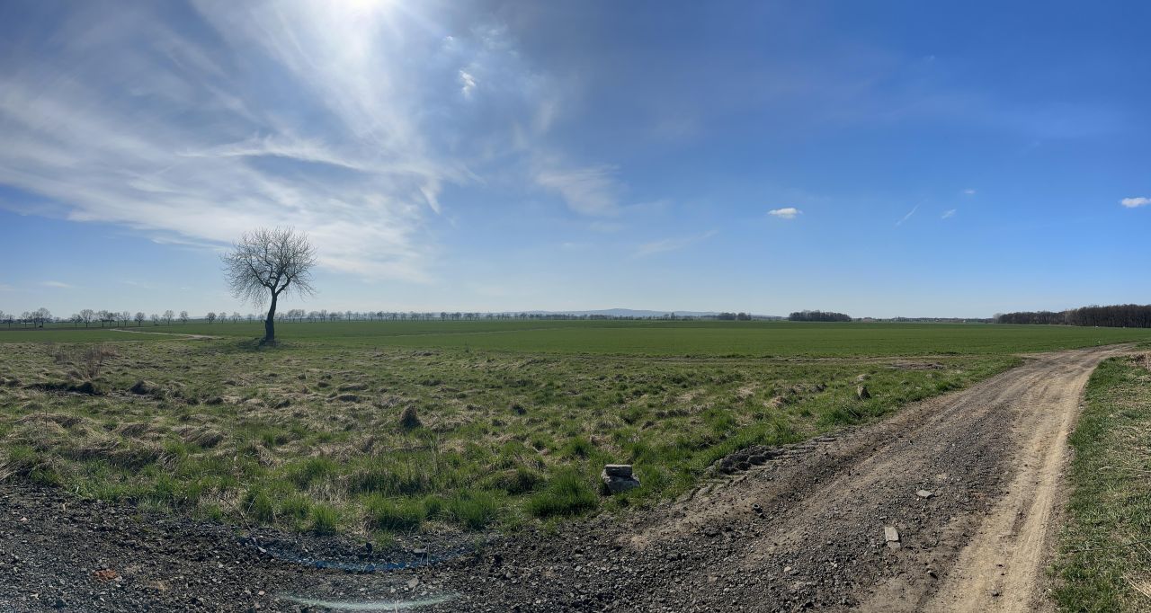 Działka rolna Snowidza. Zdjęcie 4