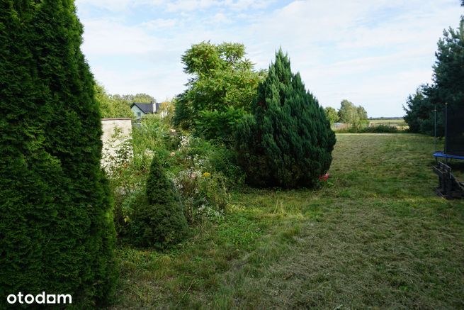 Działka siedliskowa Siemienice. Zdjęcie 7