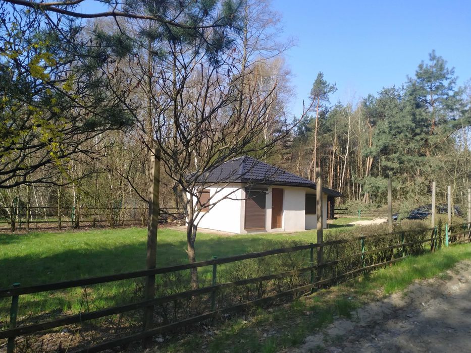 Działka budowlana Teodorowo. Zdjęcie 2