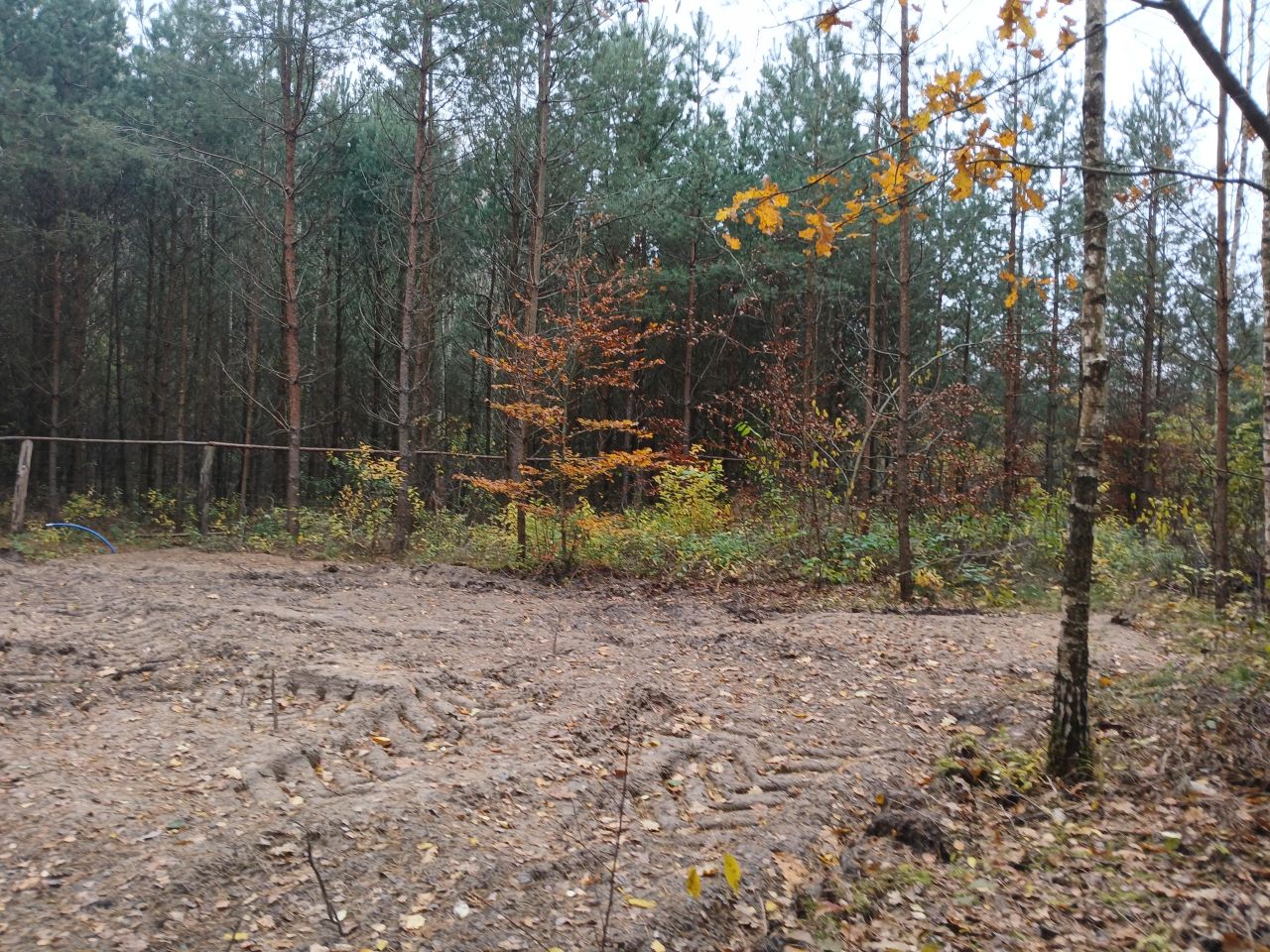 Działka leśna Jankowo-Młodzianowo. Zdjęcie 5