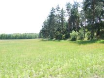 Działka budowlana Sąsieczno Miszek, ul. Adama Mickiewicza. Zdjęcie 2