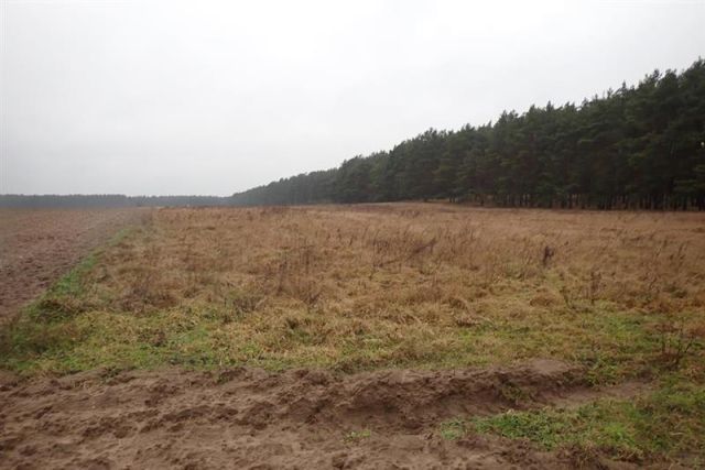 Działka rolna Trzebów. Zdjęcie 1