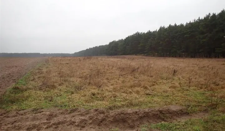 Działka rolna Trzebów