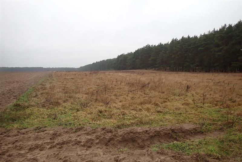 Działka rolna Trzebów