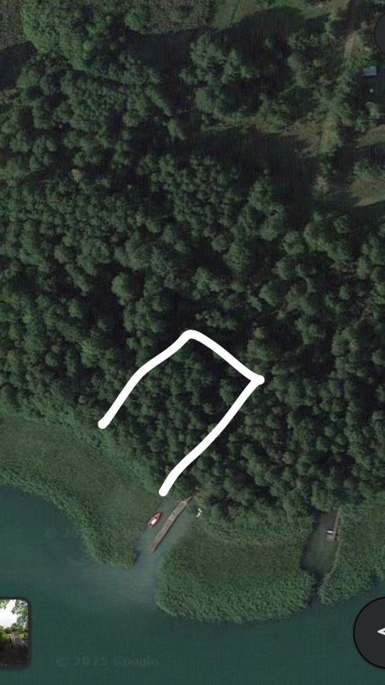 Działka leśna Elganowo. Zdjęcie 4