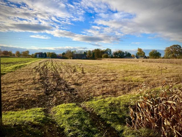 Działka rolno-budowlana Kraków Nowa Huta. Zdjęcie 1