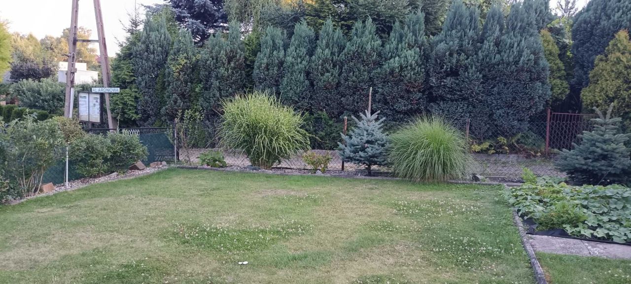 Działka rod Rybnik. Zdjęcie 5