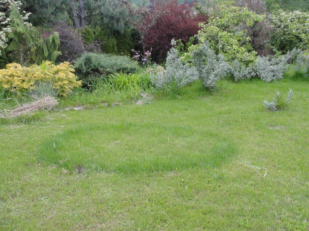 Działka budowlana Klimkówka. Zdjęcie 18