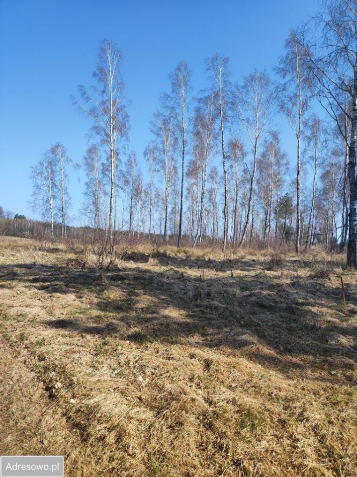 Działka budowlana Wyszewo. Zdjęcie 6