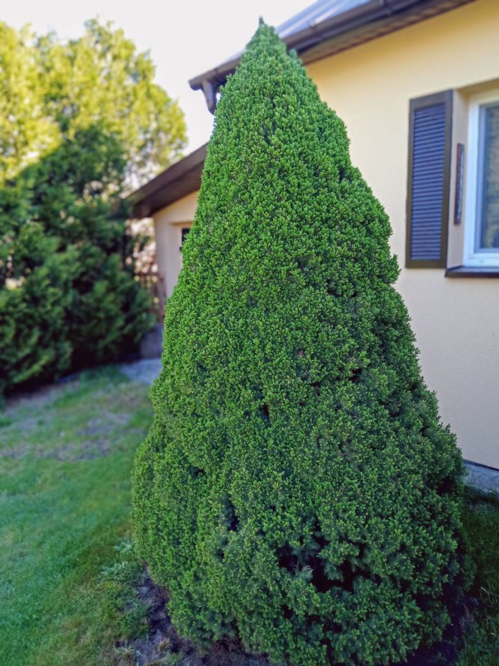 dom wolnostojący, 3 pokoje Tabor. Zdjęcie 9