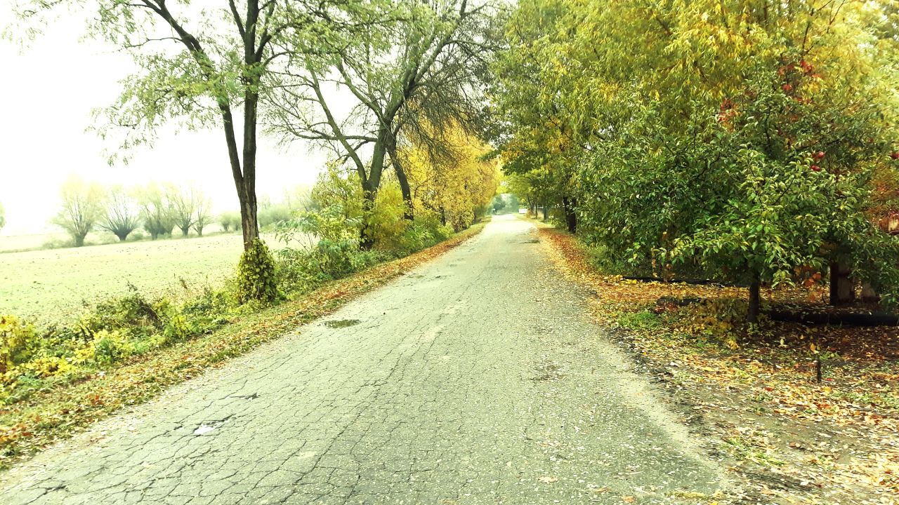 Działka siedliskowa Galominek. Zdjęcie 8