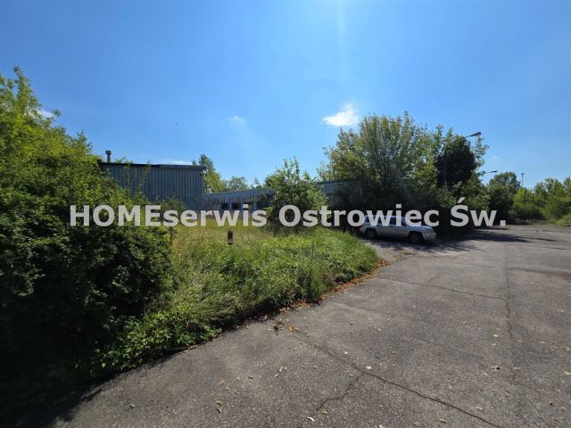 Działka inwestycyjna Ostrowiec Świętokrzyski Gutwin, ul. Jana Samsonowicza. Zdjęcie 9