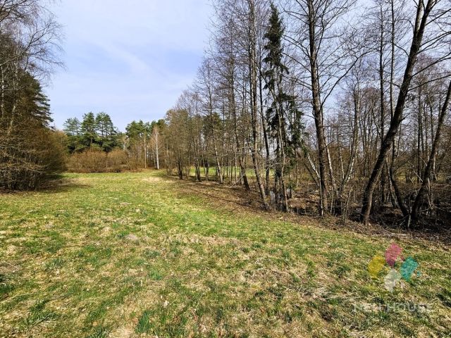 Działka rolna Prawdowo. Zdjęcie 8