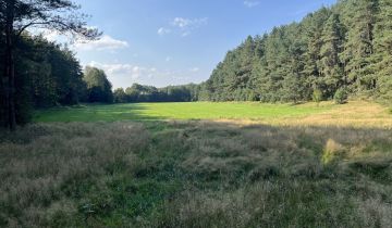 Działka rolna Orle, ul. Łąkowa