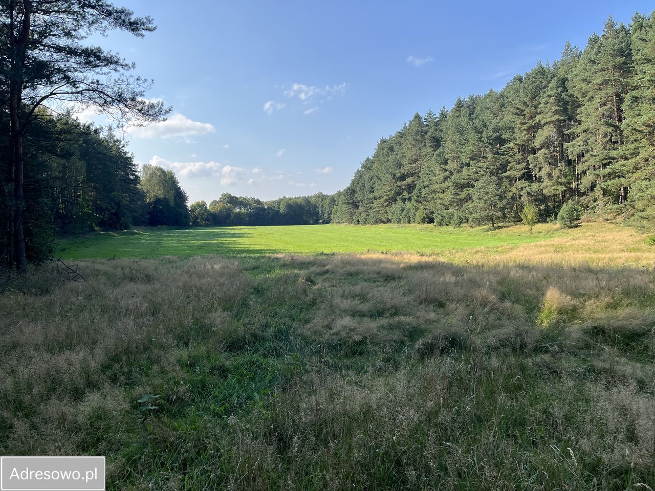 Działka rolna Orle, ul. Łąkowa. Zdjęcie 2