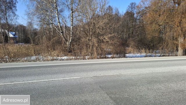 Działka rolna Dobrut. Zdjęcie 1