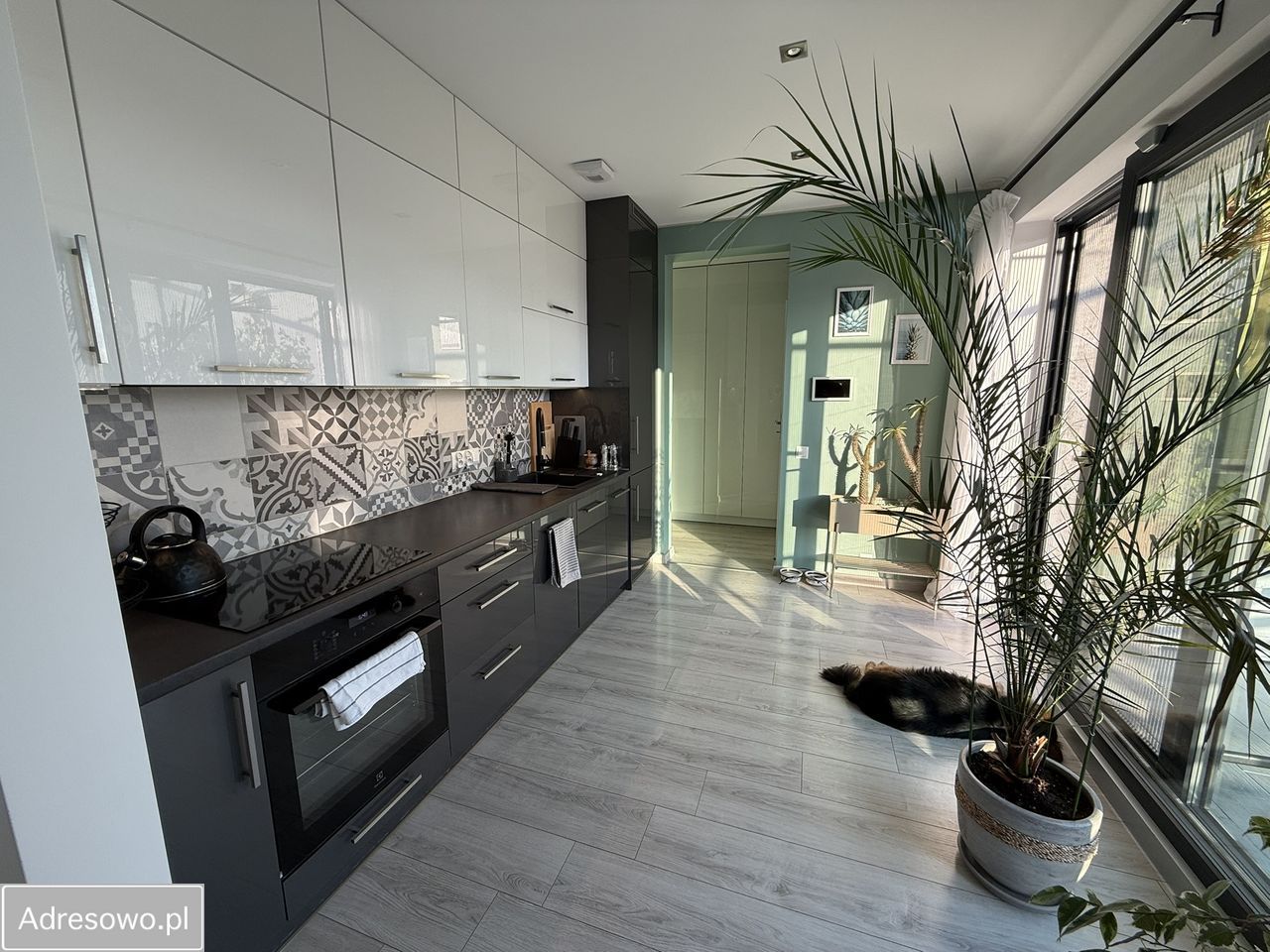 Mieszkanie 2-pokojowe Mikołów, ul. Storczyków. Zdjęcie 14